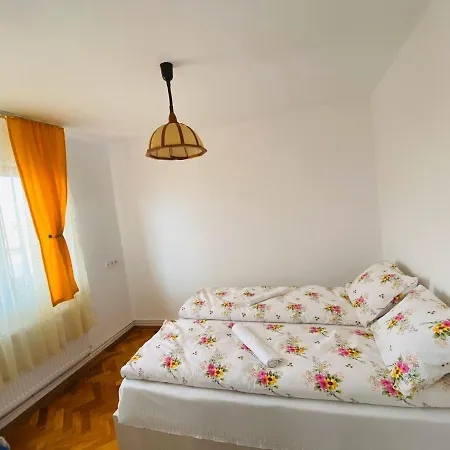 Apartamento Andrei'S House Sibiu Exterior foto