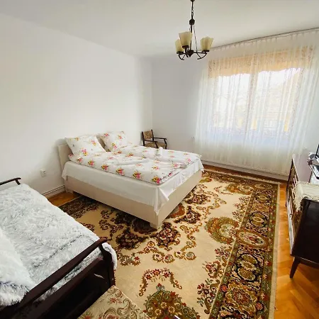 Apartamento Andrei'S House Sibiu Exterior foto