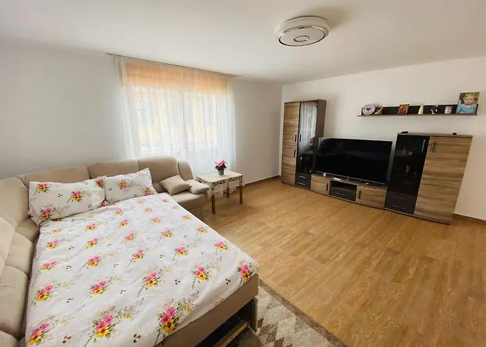 Andrei\'S House