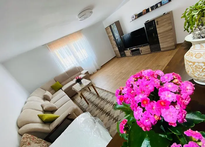 Andrei\'S House