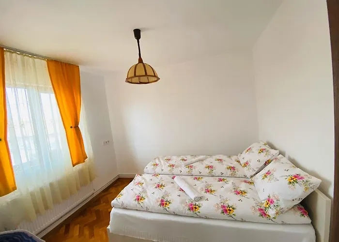 Andrei\'S House
