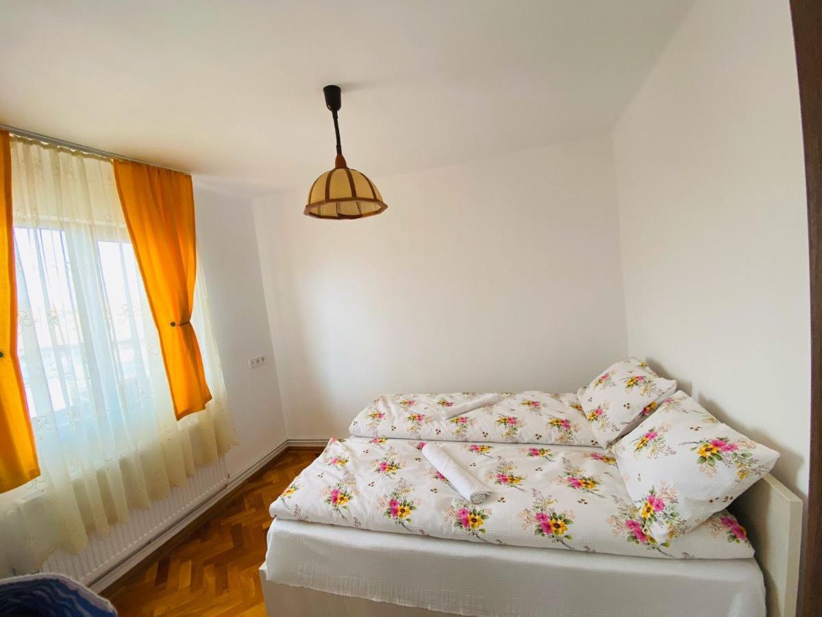 Andrei's House