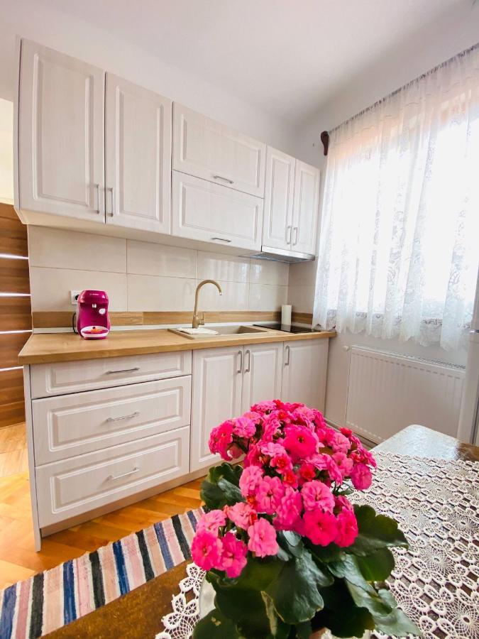 Andrei's House Appartement