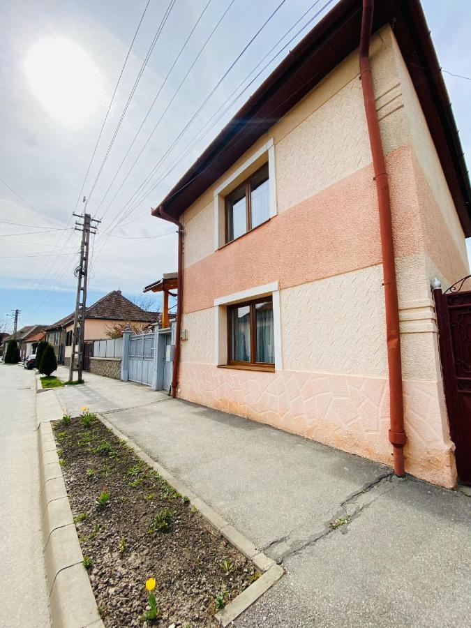 Andrei's House * Sibiu